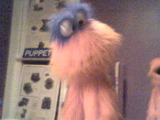 Big Orange Shaggy 1 - earlier version Monster Puppet